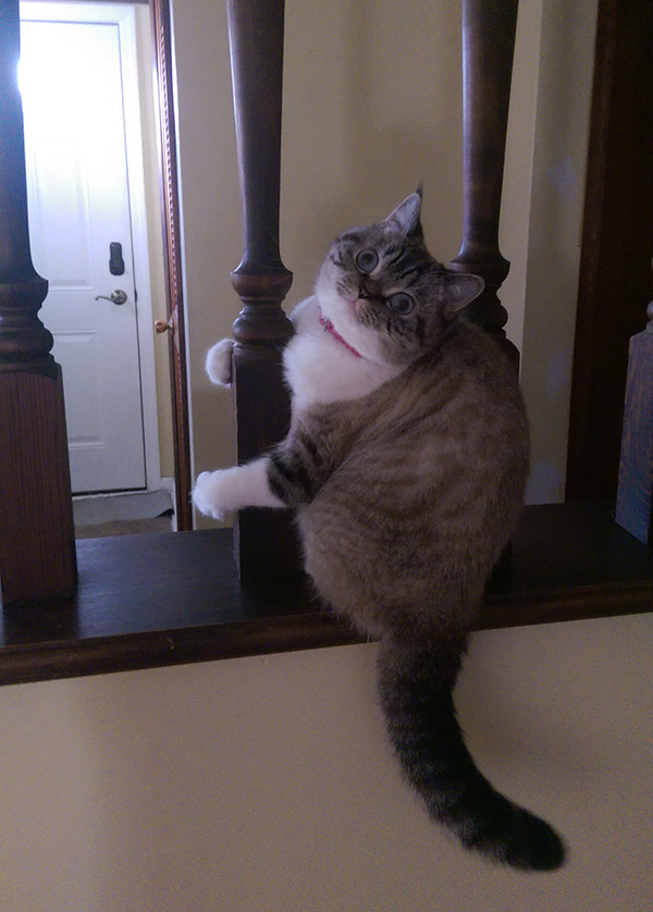 nlu5r-love-his-pole.jpg