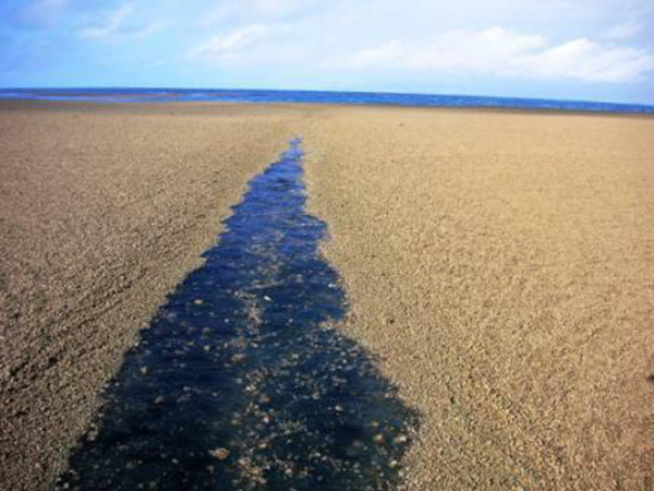 sandbar middle of ocean island creation