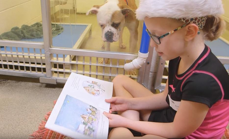 kids reading program animal shelter