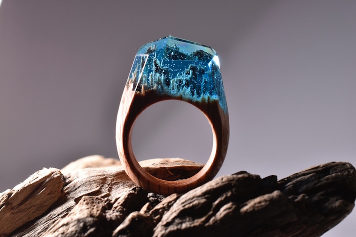 wood rings beautiful landscapes