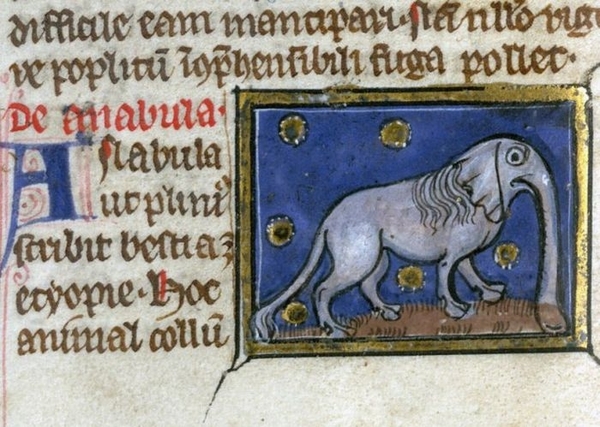 elephant drawings middle ages