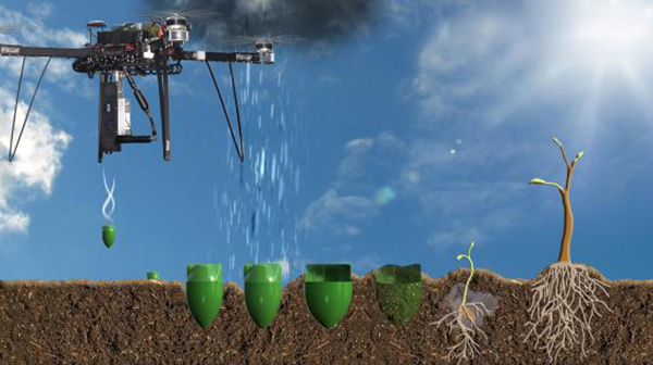 drones plant trees