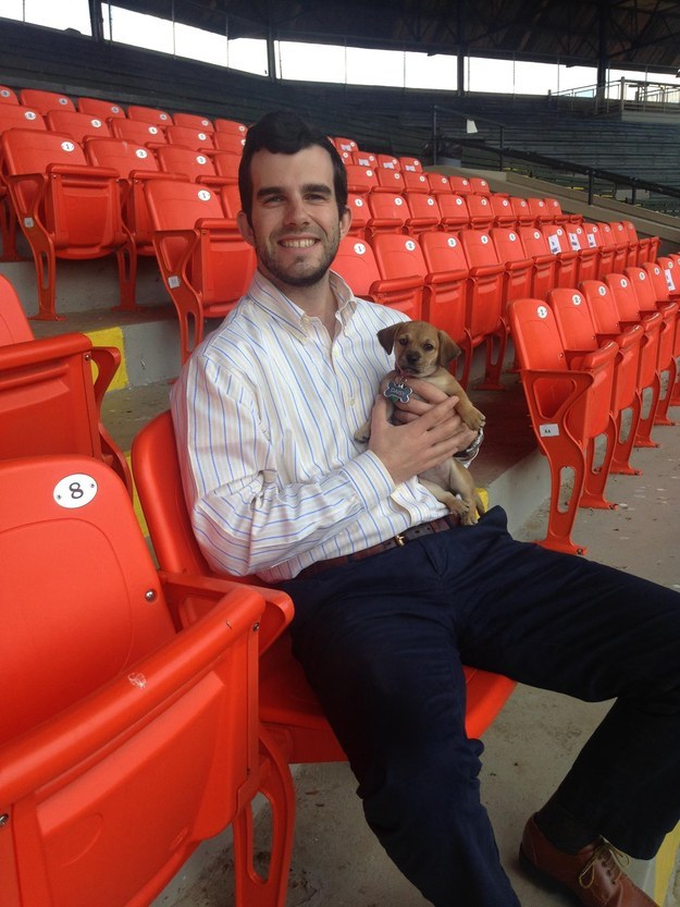 abandoned dog becomes bat dog baseball team