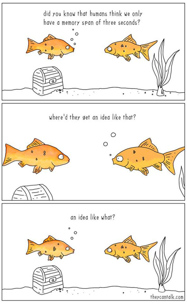 funny comics of animals talking