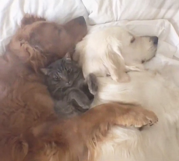 ijgur-3-best-friends.jpg