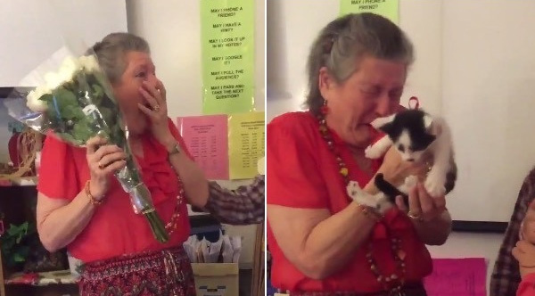 cat surprise for teacher