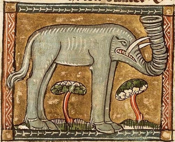 elephant drawings middle ages