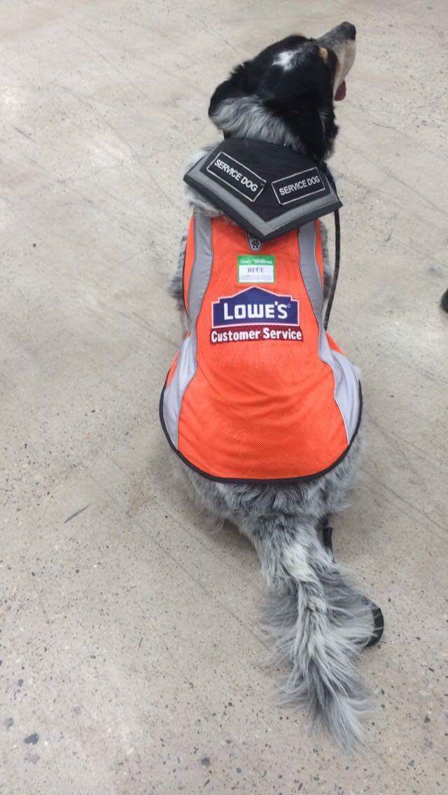 Lowes hires man with service dog