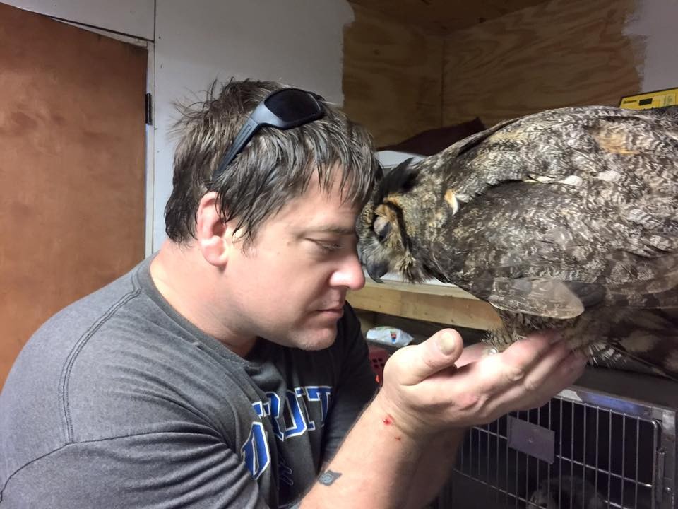 owl hugs man who saved it