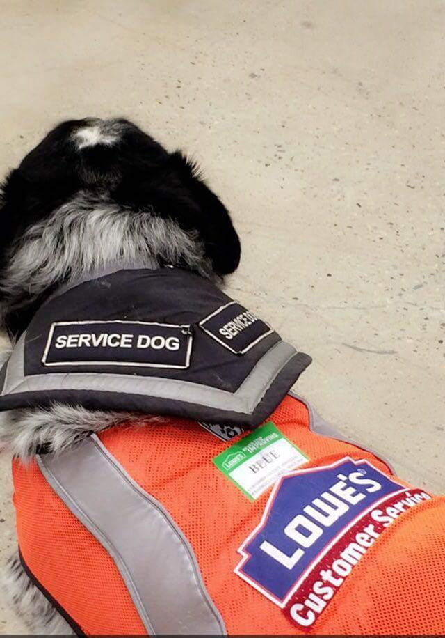 Lowes hires man with service dog