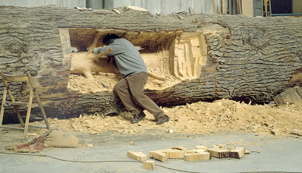 carving tree rings out leaving sapling