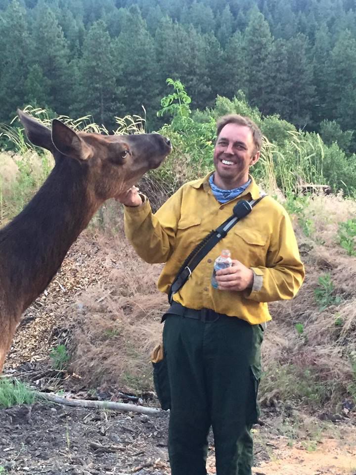 orphaned elk visits firefighters