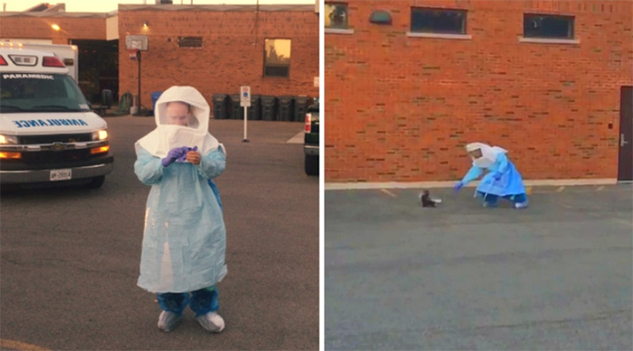 skunk rescue in outbreak suit