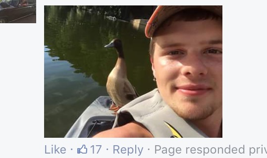 duck hops on rides with kayakers york lake