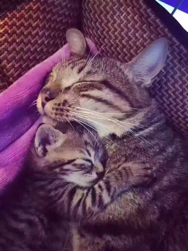 d0ado-daddy-daughter-cuddles.jpg