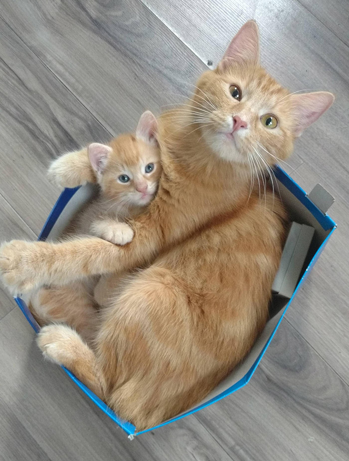 efncf-mom-and-son.jpg