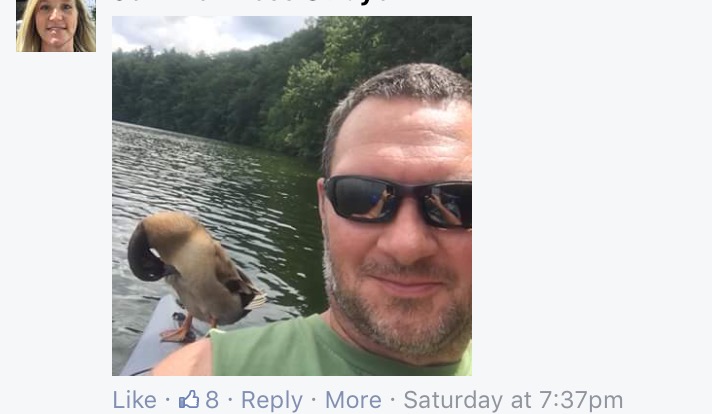 duck hops on rides with kayakers york lake