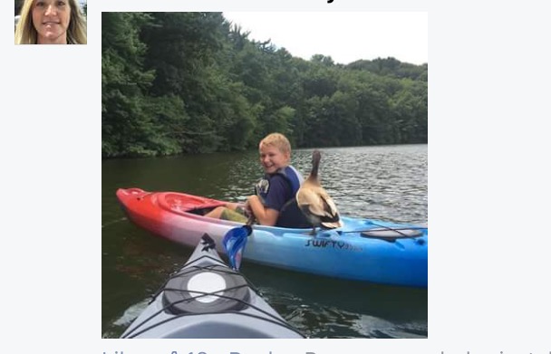 duck hops on rides with kayakers york lake