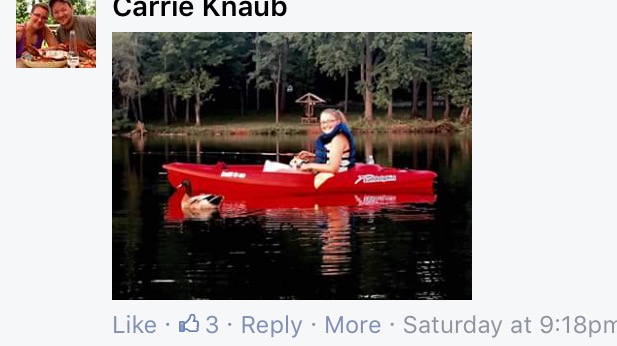 duck hops on rides with kayakers york lake