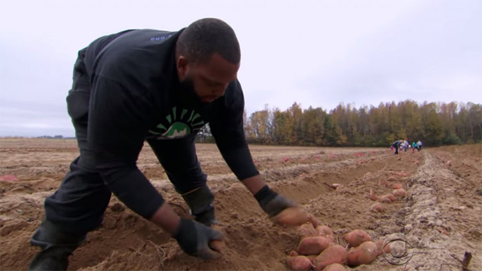 nfl player quits to become farmer and help the needy