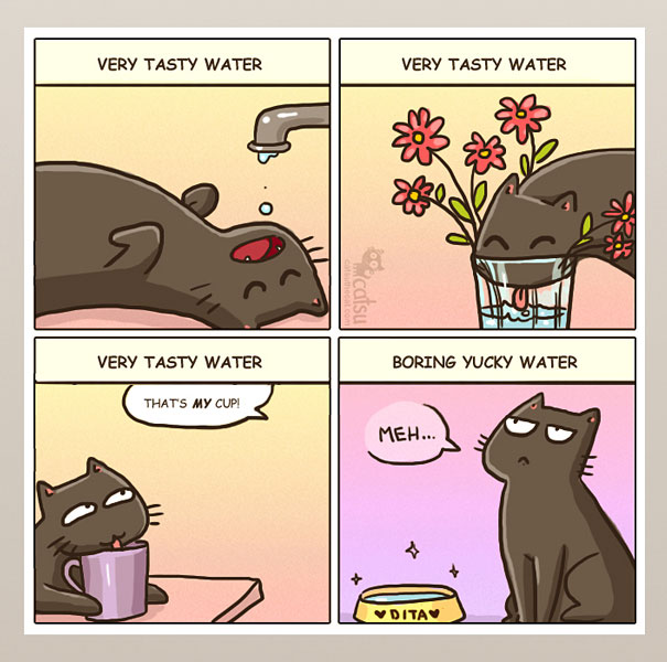 If You Own A Cat, These Comics Purrfectly Describe Your Life 04d6t-funny-cat-comics-1