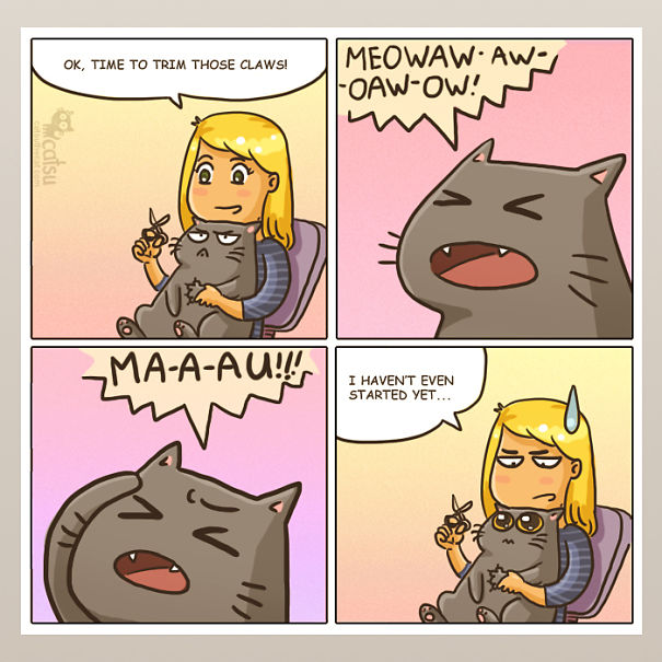 If You Own A Cat, These Comics Purrfectly Describe Your Life Hctmo-funny-cat-comics-10