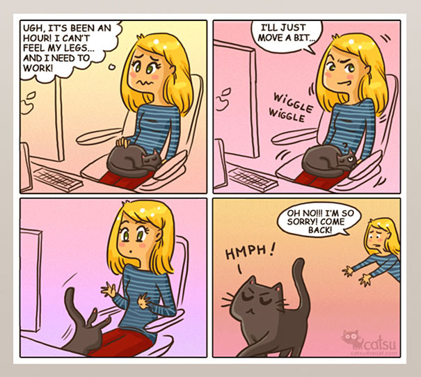 If You Own A Cat, These Comics Purrfectly Describe Your Life Hs0hd-funny-cat-comics-3