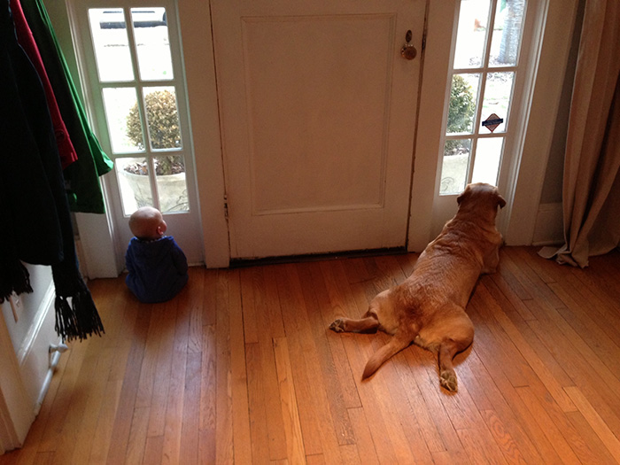 i8uip-dog-baby.jpg