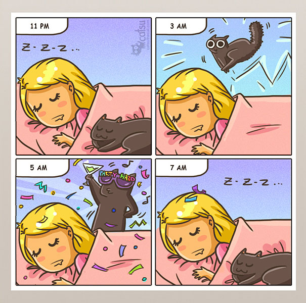 If You Own A Cat, These Comics Purrfectly Describe Your Life Igfsq-funny-cat-comics-2