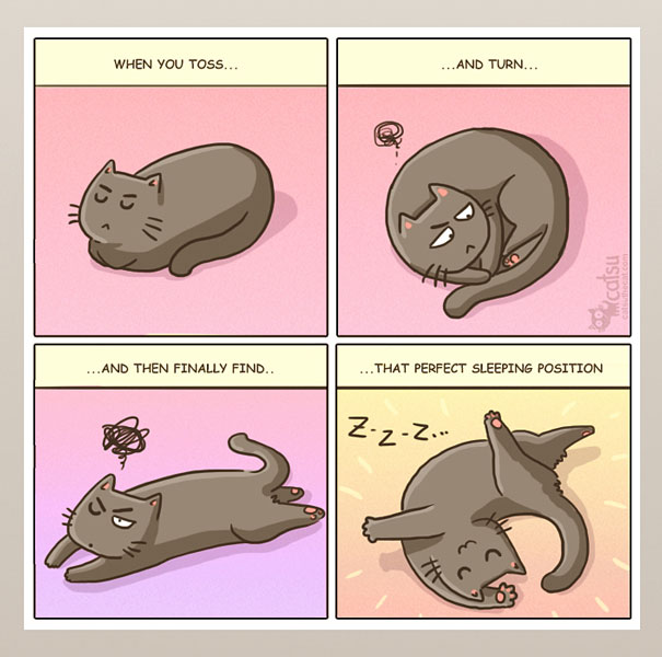 If You Own A Cat, These Comics Purrfectly Describe Your Life Lktfx-funny-cat-comics-8