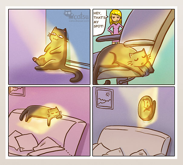 If You Own A Cat, These Comics Purrfectly Describe Your Life Xkayh-funny-cat-comics-4