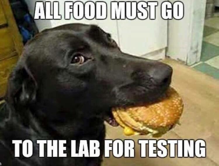 zjy24-all-food-must-go-to-the-lab-for-testing.jpg