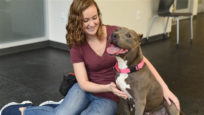 police rescue pit bull love good news dogs