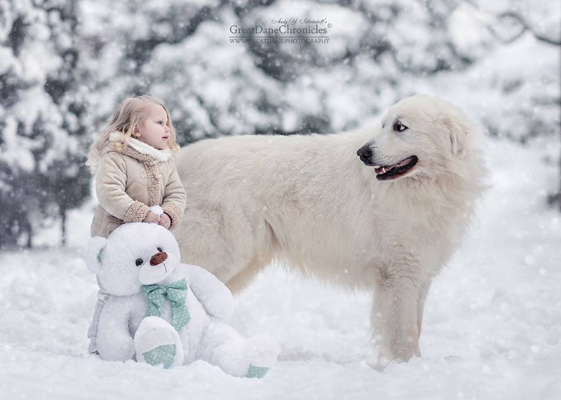 little kids and their big dogs