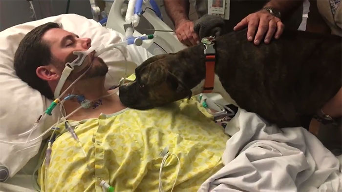 dog visits dying owner in hospital