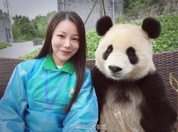 giant panda selfies