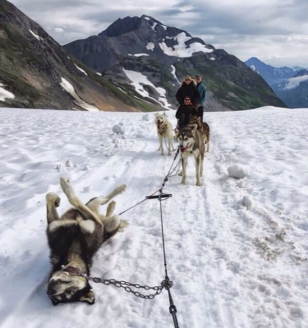 ruszz-Alaskan-flat-tire.jpg