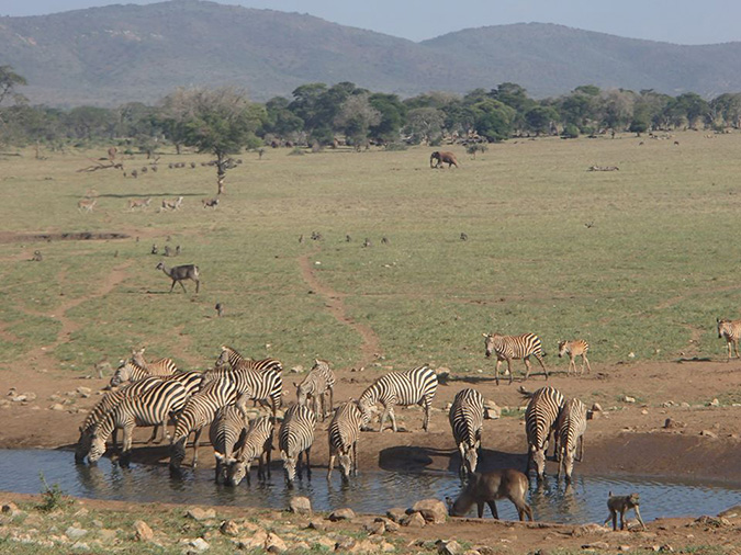 farmer brings wild animals water drought