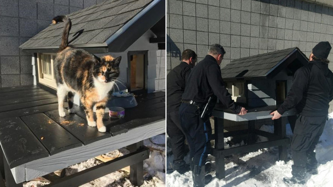 cops built cat house good news