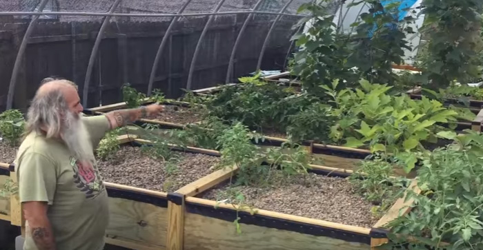man builds free gardens rescues bees new orleans