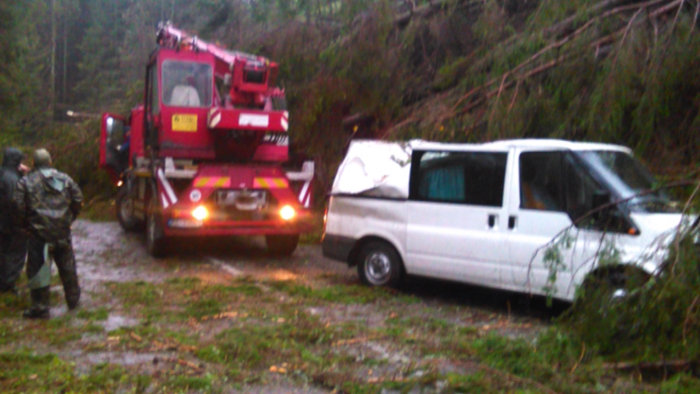 van after tree attack