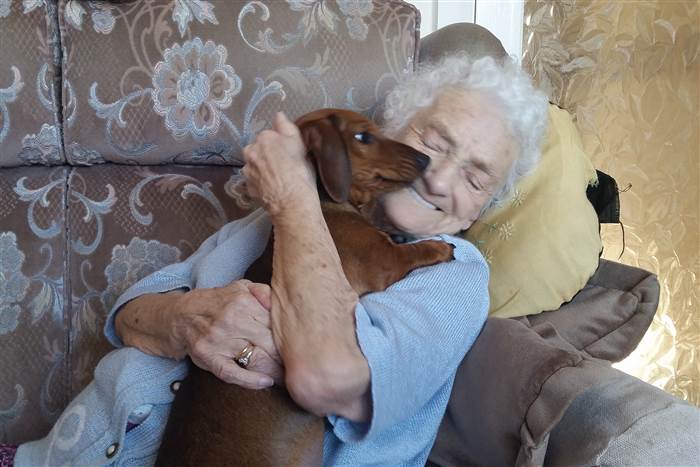 woman dog alzheimers helps good news happy stories