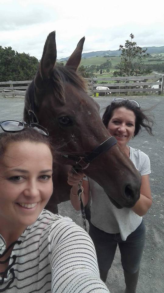 horse washed away in flood returns