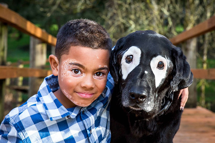 boy dog with vitiligo