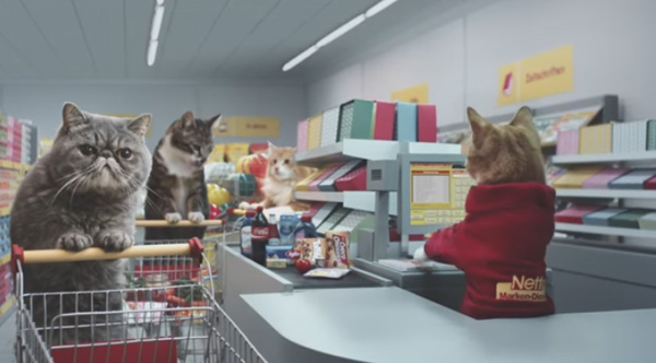 This Bizarre Cat Ad By A German Grocery Store Is Hilarious