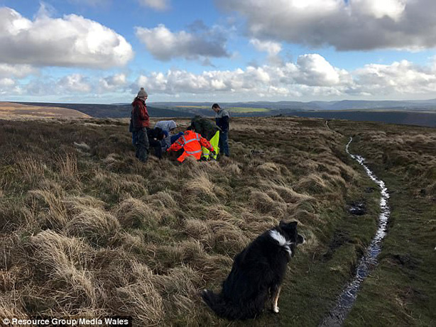 drone finds missing dog