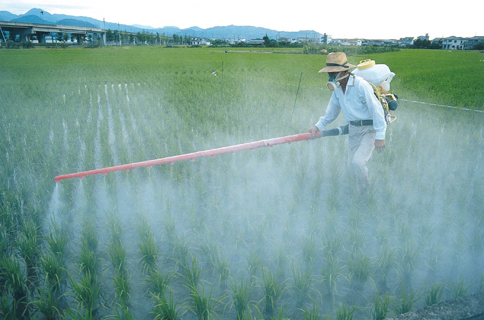 pesticides a myth and not needed to feed masses