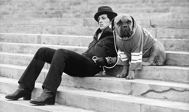 Sylvester Stallone Sold His Dog When He Was Poor. But The Story Doesn't
