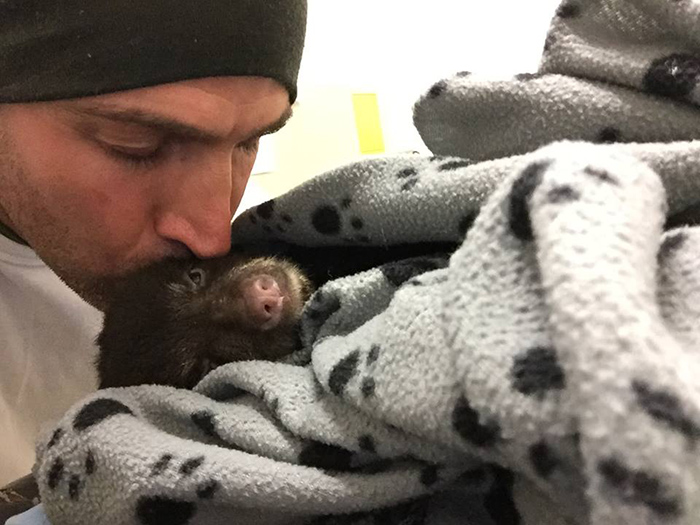 man rescues baby bear cub