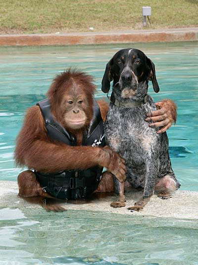 Roscoe and dog best friends